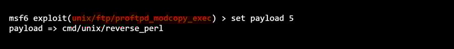Set Payloads Terminal Console Output