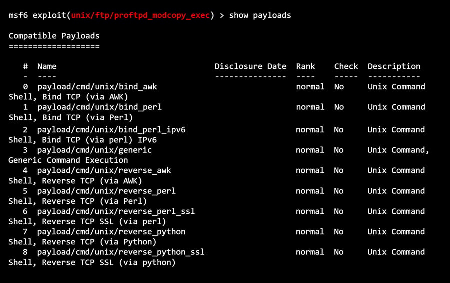 Show payloads Terminal Console Output