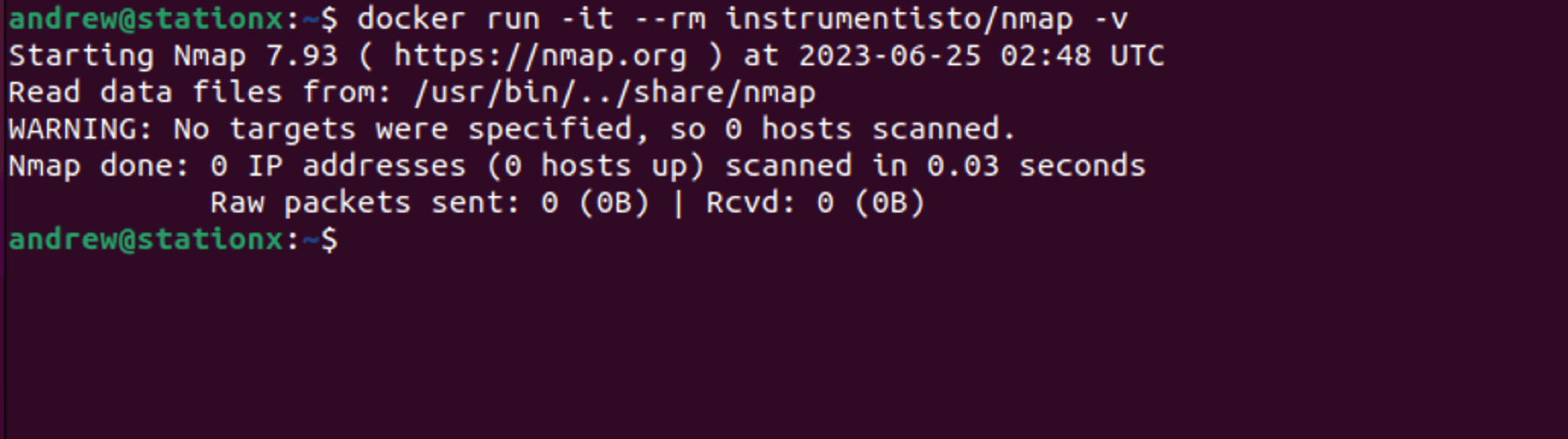 Run Nmap in Docker