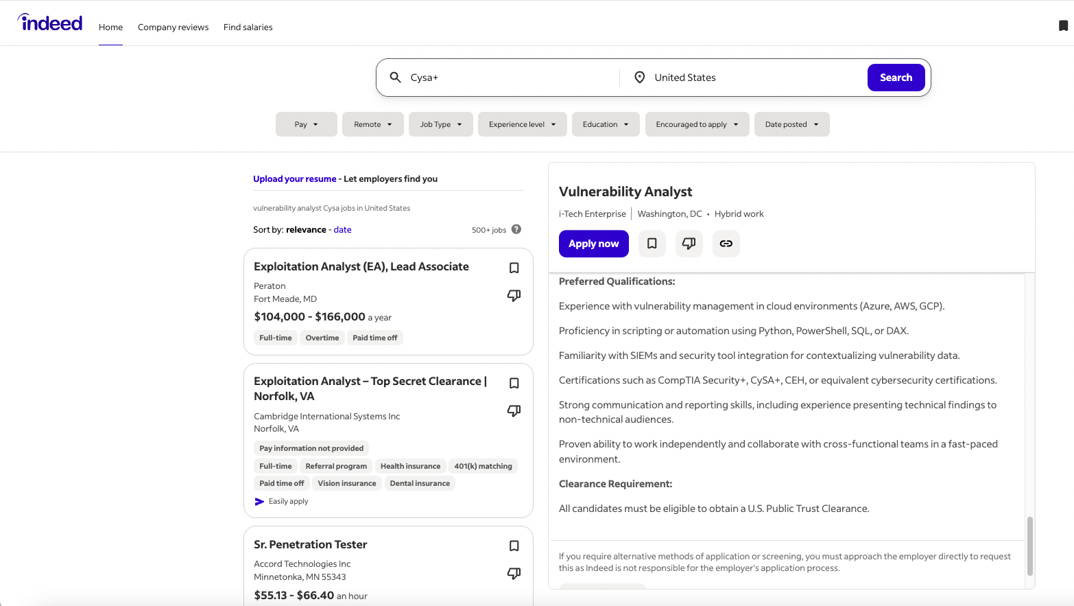 Vulnerability Analyst