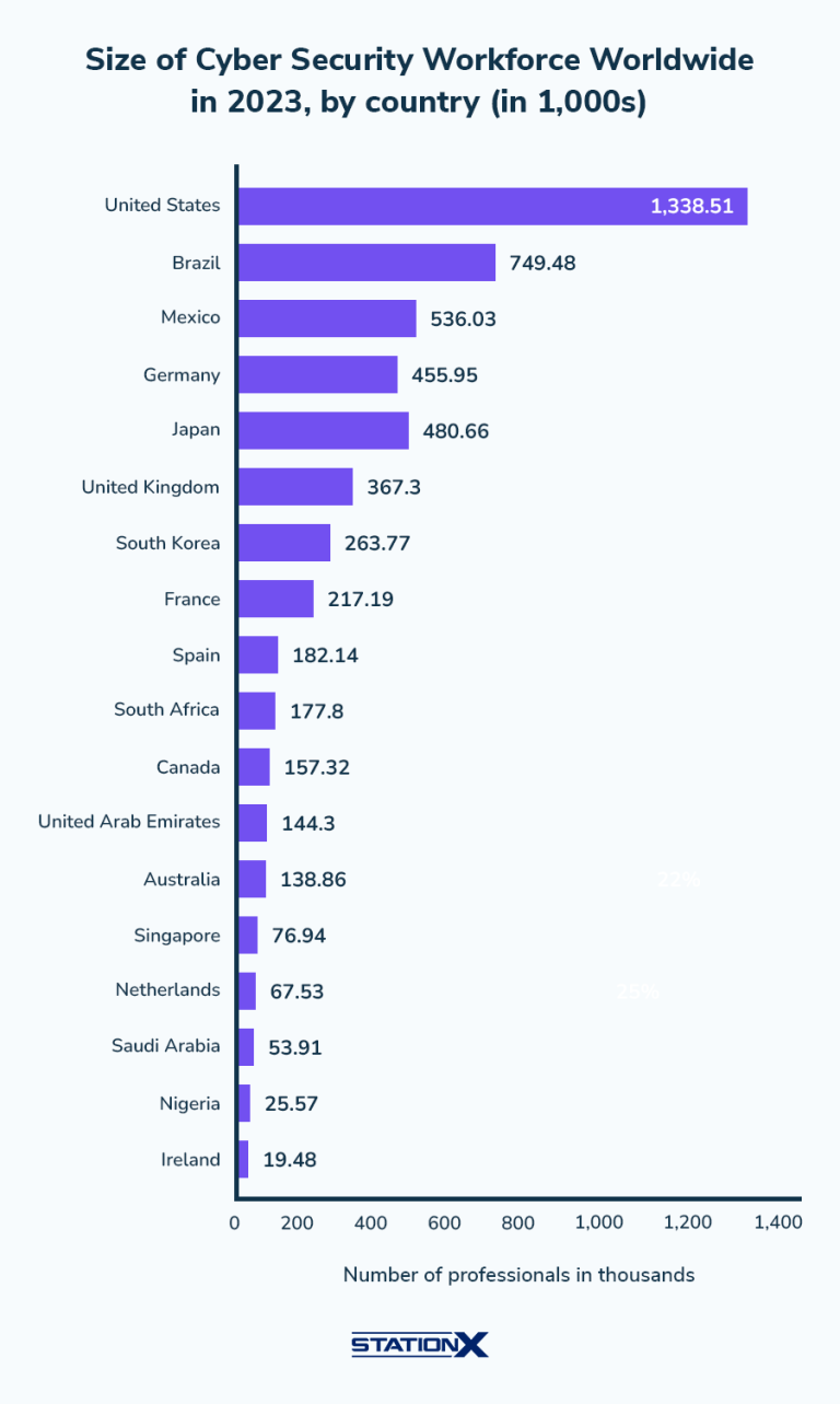 50+ Cyber Security Job Statistics & Trends for 2025