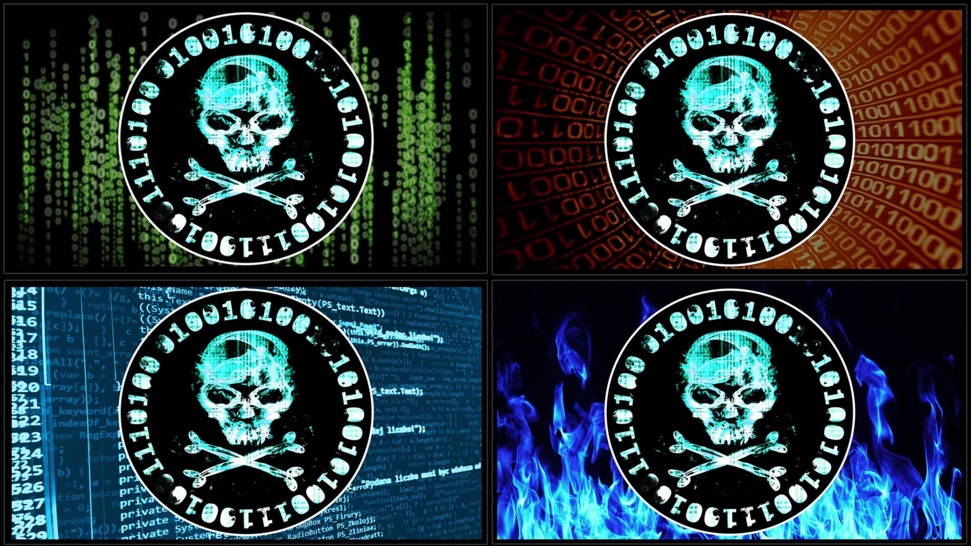 The Complete Cyber Security Course! - Volumes 1, 2, 3 & 4