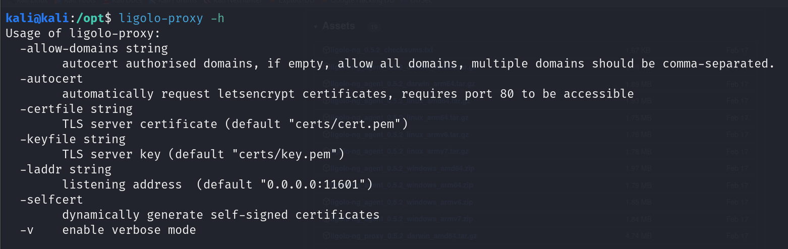 ligolo-proxy -h