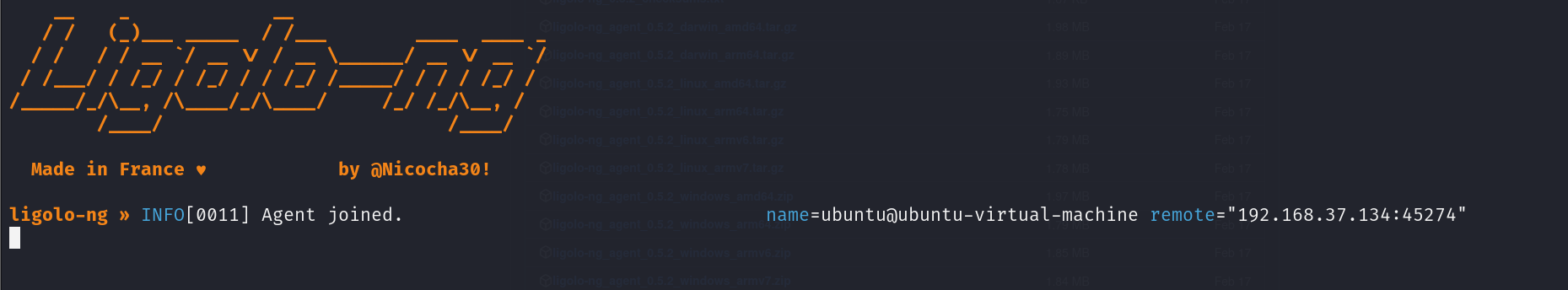 Ubuntu-virtual-machine