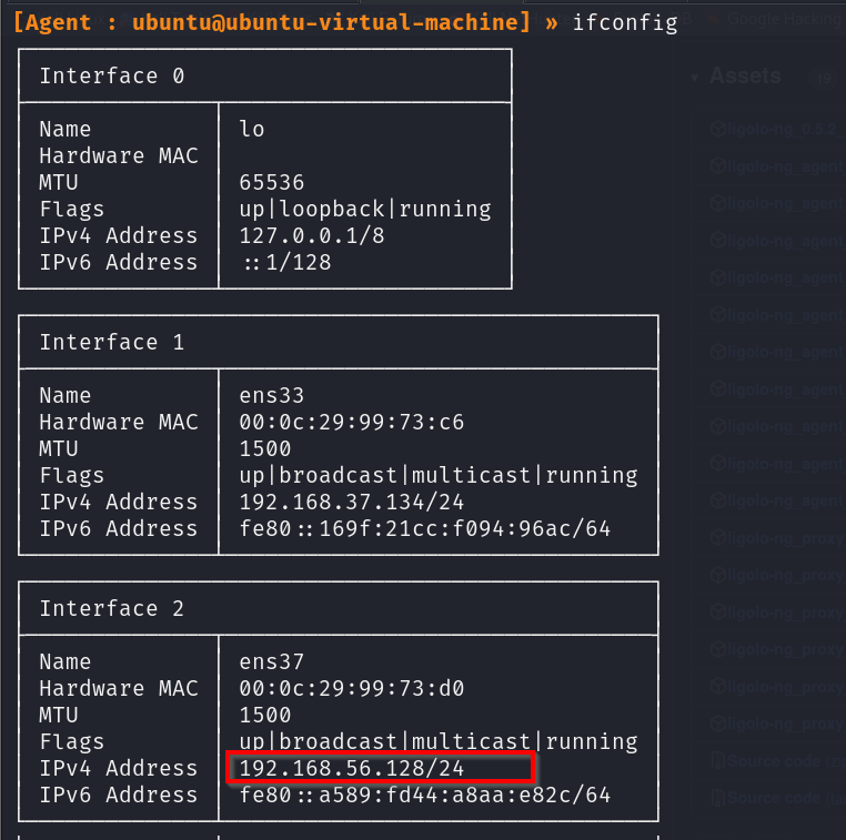 Run “ifconfig”