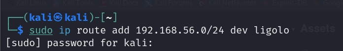 Sudo ip route