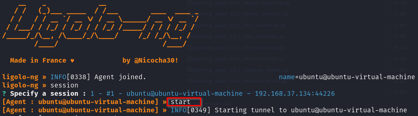 Start the tunnel