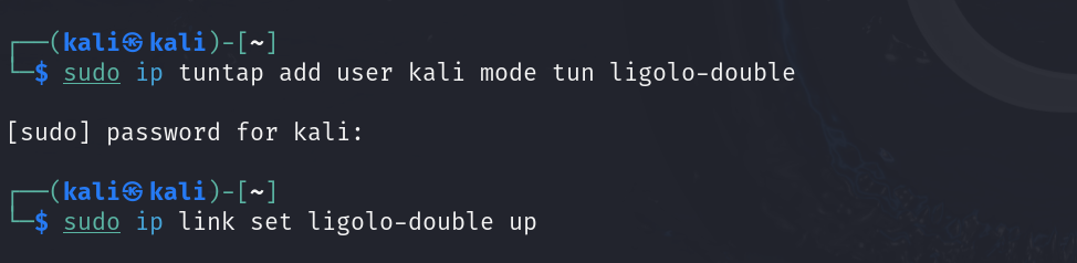 Add a second TUN interface
