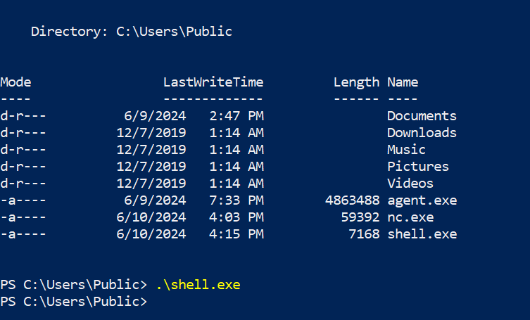 Run Our Shell From the Windows Host