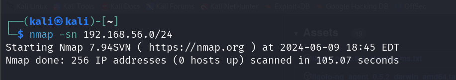 Host Discovery with Nmap