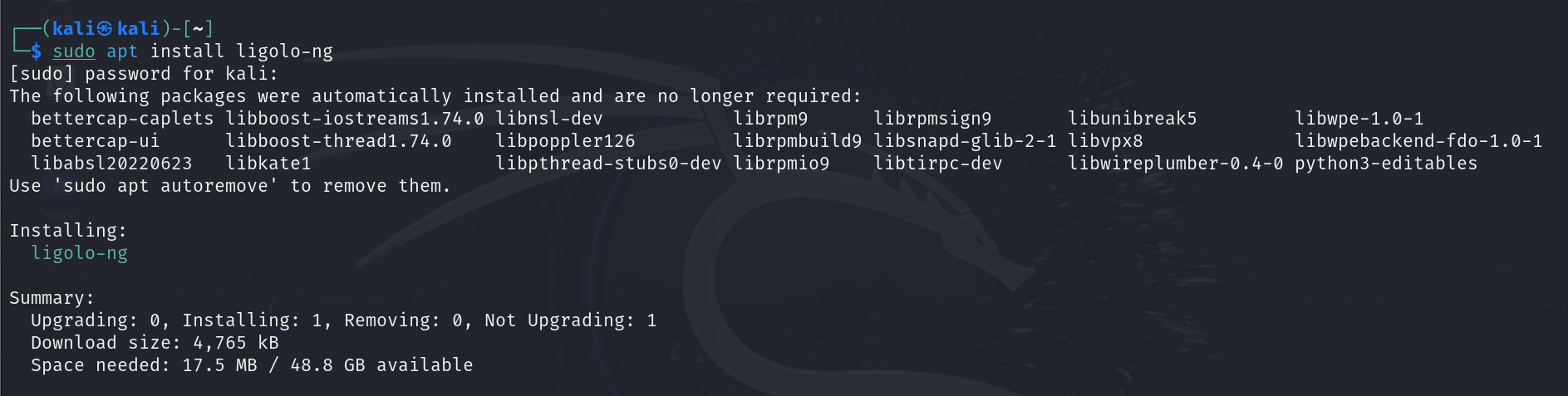 sudo apt install ligolo-ng