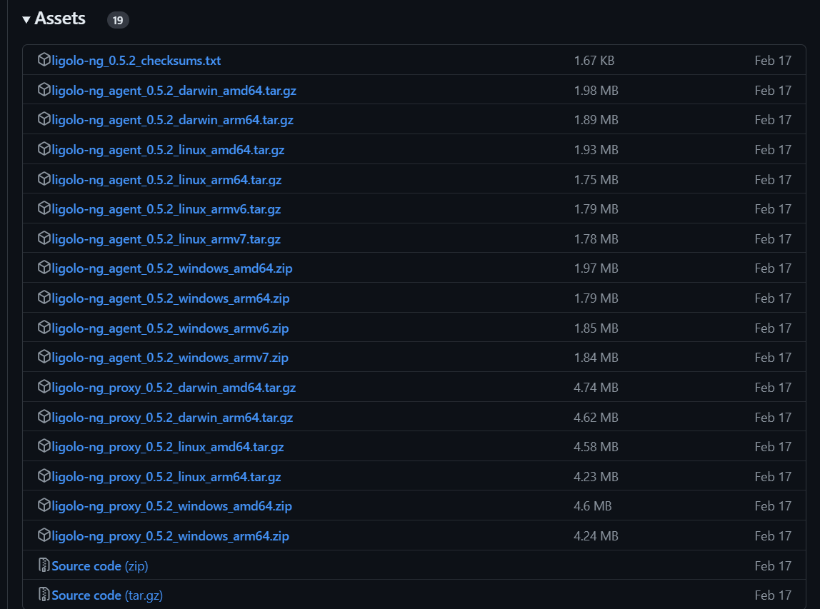 Visit the Ligolo-ng GitHub releases