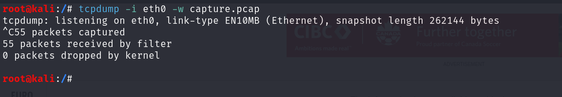 tcpdump save packets to a file